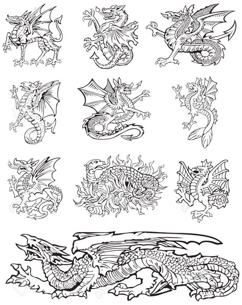 Medieval Pattern, Heraldry Design, Medieval Dragon, Dragon Designs, Dragon Illustration, Sea Monsters, Illuminated Manuscript, Medieval Art, Dragon Art