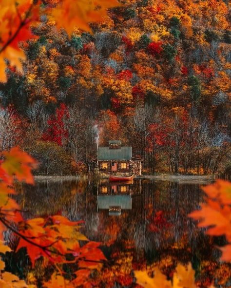 Autumn Cozy Love Autumn, Autumn Scenes, Autumn Scenery, I Love Fall, Autumn Beauty, Fall Pictures, 판타지 아트, Autumn Vibes, Love Fall