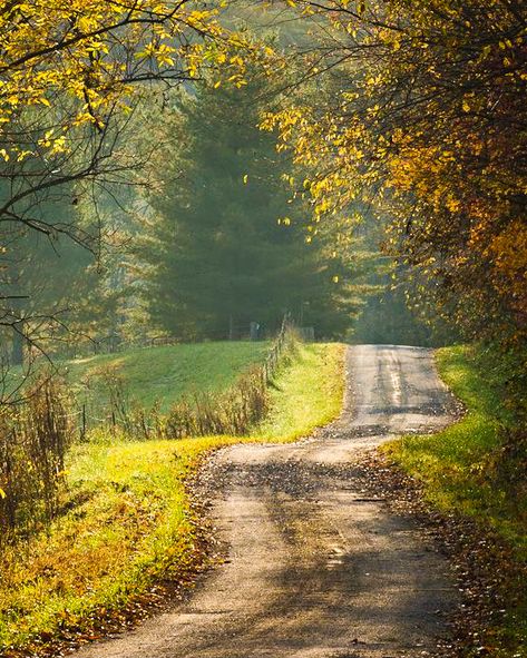 🇺🇸 Cicerone Road (Roane County, West Virginia) by Lilly Photography 🍂cr. Country Backdrop, Lilly Photography, Photos Landscape, Virginia Photography, Dirt Roads, Country Roads Take Me Home, Country Scenes, Winding Road, Dirt Road