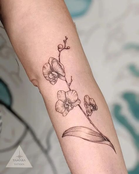 30+ Orchid Tattoos: Top Ideas & Designs, Symbolism, Meaning - 100 Tattoos Orchid Tattoo On Ribs, Men Orchid Tattoo, Flower Tattoos Delicate, Orchid Tattoo Design For Women, Orchid Tattoo Thigh, Orchid Hip Tattoo, Orchid Tattoo Men, Orchid Tattoo Minimalist, Blue Orchid Tattoo