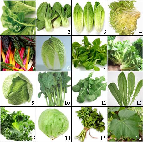 here you´ve got an amazing post on leafy greens Green Leafy Vegetables, Leaf Vegetable, List Of Vegetables, Healthy Groceries, Leafy Vegetables, Green Vegetables, Leafy Greens, Clean Eating Diet, Fruit And Veg