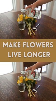 Flowers Last Longer, Make Flowers, Easy Hacks, Fresh Flowers Arrangements, Fresh Cut Flowers, Luxury Flowers, Makes You Beautiful, Live Long, Flower Boxes