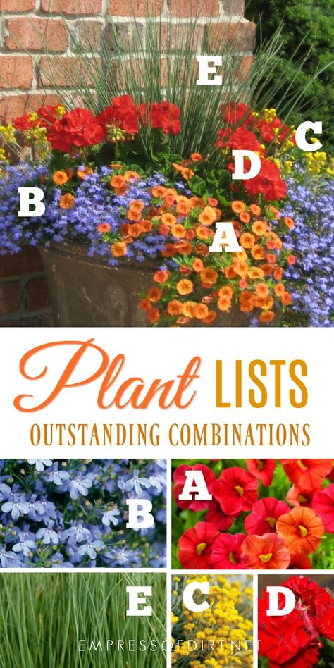 Plant lists for beautiful patio containers. Image by Proven Winners. Evergreen Herbs, Proven Winners Plants, Porch Flowers, Container Garden Design, Container Gardening Flowers, Proven Winners, Beautiful Patios, Patio Plants, Plant Ideas