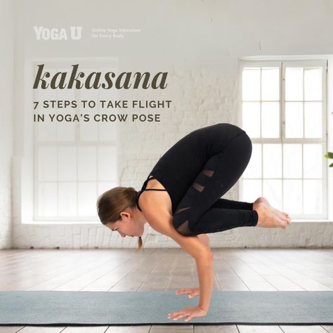 Crow Pose is a challenging arm balance that requires strength and balance.   Follow these 7 steps and tips for beginners to take flight and find balance in Kakasana.  https://yogauonline.com/yoga-practice-teaching-tips/yoga-practice-tips/7-steps-to-take-flight-in-yogas-crow-pose-kakasana/  #kakasana #yogapose #yogacrowpose #yogagirl #yogateacher #yogalove #yogaflow #asana #yogaforall #yogainspiration #yogaclass #yogini #yogachallenge #yogabuddies #onlineyoga Yoga Crow Pose, Yoga Education, Arm Balance, Crow Pose, Yoga For All, Arm Balances, Find Balance, Online Yoga, Yoga Challenge