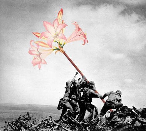 Artist = Mister Blick (http://misterblick.free.fr/) War Images Transformed by Collage Flowers - Improvised Life Graffiti Artwork, Gcse Art, Modern Artists, Arte Animal, Flower Art Painting, Black And White Photographs, Art Plastique, Digital Collage, Make Art