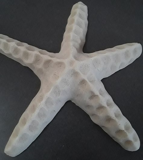 Clay Seashells Diy, Salt Dough Sculptures, Sea Sculpture Clay, Salt Dough Ideas, Clay Starfish Diy, Star Shaped Air Dry Clay Bowl, Salt Dough Starfish, Starfish Pottery, Starfish Polymer Clay