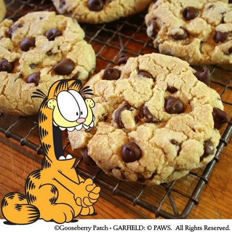 Gooseberry Patch Recipes: Giant Chocolate Chip Cookies from Garfield...Recipes with Cattitude Gooseberry Patch Recipes, Giant Chocolate Chip Cookies, Gooseberry Patch Cookbooks, Gooseberry Recipes, Giant Chocolate Chip Cookie, Gooseberry Patch, Giant Chocolate, Dessert Gifts, Chocolate Chip Cookies Recipe