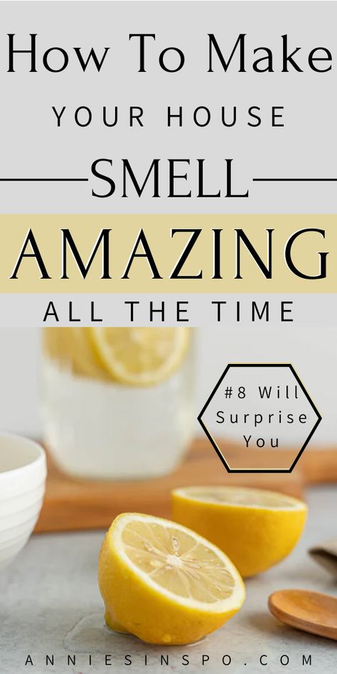 Are you looking for ways to make your house smell good ALL THE TIME!? If so, you will love these natural ways to make your home smell incredible. You won't believe number 8. #Spring #SpringCleaning #HomeDecor #Cleaning #CleaningTips Make Your House Smell Good, Make Your House Smell Amazing, Potpourri Recipes, Smelling Good, Diy Air Freshener, House Smell Good, Home Smell, Kitchen Smells, Bathroom Smells