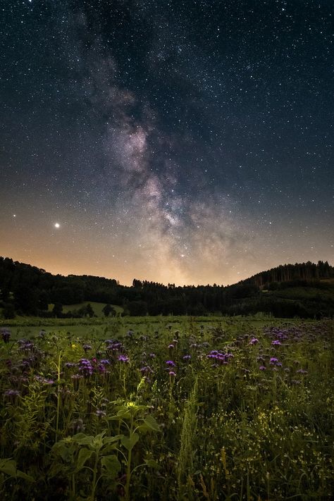 Starry Sky Flower Meadow, #Sky, #Flower, #Meadow, #Starry Rainy Sky, Earth Hour, Image Nature, Stars At Night, The Night Sky, Space And Astronomy, Starry Sky, Sky Aesthetic, Milky Way