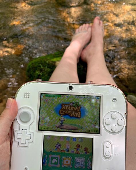 💕🌿This place means everything to me. When I was sad or upset, or even just kinda down in general. All it took was a couple hours here to… Gaming Photography, Kawaii Games, Nintendo 2ds, Retro Gadgets, Video Game Rooms, Nintendo Switch Accessories, Nintendo Switch Games, Animal Crossing Game, Video Game Room