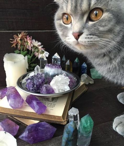 A Cat, Tumblr, Crystals, Van