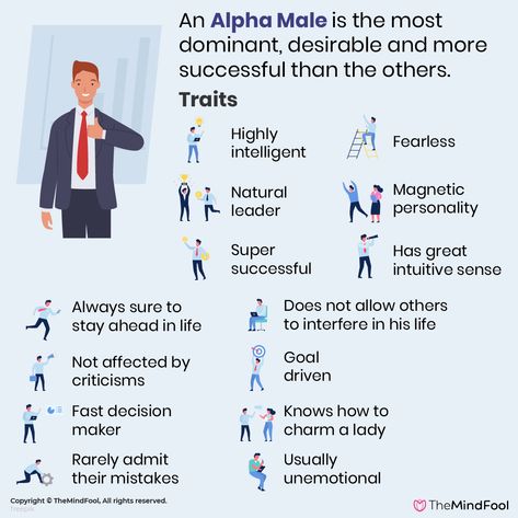 Alpha Male Characteristics, How To Be Mysterious, Alpha Male Quotes, Male Quotes, Alpha Male Traits, Be An Alpha, Writing Traits, Masculine Traits, Dan Humphrey