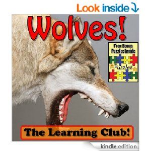 Wolves! Learn About Wolves And Learn To Read - The Learning Club! (45+ Photos of Wolves) - Kindle edition by Leah Ledos. Children Kindle eBo... Open Mouth Drawing, Scary Dogs, Mouth Drawing, Wolf Face, Wolf Drawing, Red Wolf, Wolf Pictures, Wolf Head, Grey Wolf