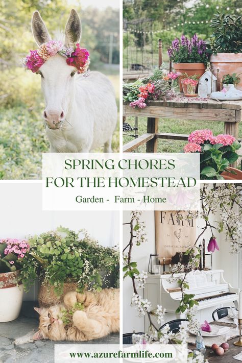 Spring Chores for the Garden, Farm and Home A Spring Scavenger Hunt For the Kids! - Azure Farm Spring Checklist, Spring Scavenger Hunt, Summer Insects, Wild Onions, Garden Farm, Homestead Farm, Homestead Gardens, Garden Animals, Organic Soil