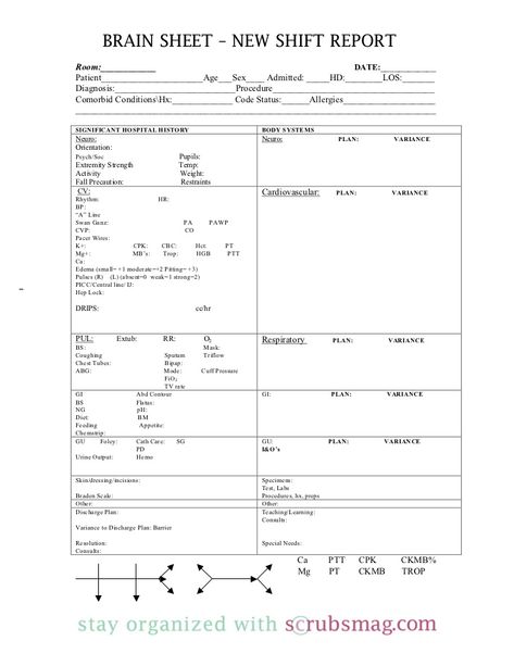 Nurse brain sheet_new_shift_report Brain Tumour Fake Report, Ph Diet, Nurse Brain Sheet, Nurse Brain, Nursing Mnemonics, Nursing School Studying, Biology Notes, School Information, Nursing Study