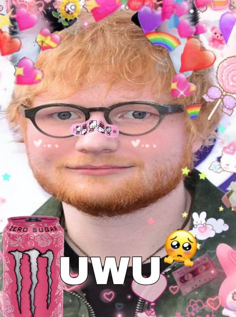 Uwu Ed Sheeran, Ed Sheeran Cursed, Ed Sheeran Funny, Egg Sheeran, Ed Sheeran Memes, I Want Your Love, Ed Sheeran Love, Kawaii Chan, Its Coming