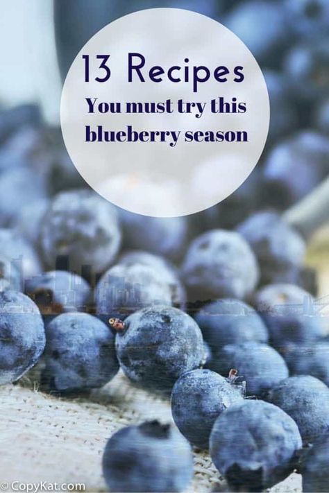 13 Fresh Blueberry Recipes You Must Try Blueberry Cream Cheese Pie, Healthy Blueberry Recipes, Fresh Blueberry Recipes, Basil Smoothie, Blueberry Desserts Recipes, Blueberry Salad, Blueberry Season, Gluten Free Salads, Blue Berries