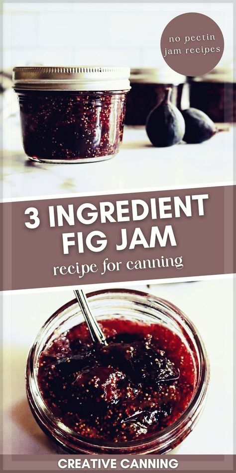 Canning Fruit Recipes, Fig Jelly, Grape Jam Recipe, Fig Preserves Recipe, Homemade Fig Jam, Refrigerator Jam, Fig Jam Recipe, Freezer Jam Recipes, Canning Fruit