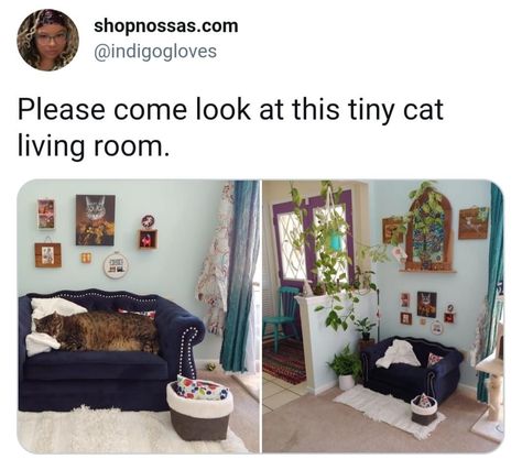 House Aestethic, Cat Playroom, Cat Diys, Cat Living Room, Tiny Cats, Cat Room, Grumpy Cat, Gremlins, Cat Owners