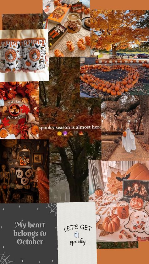 my favorite season 🎃 #octobervibes #october31st #october October Vision Board, October Goals, October Vibes, Fall Mood Board, Fall Mood, Hello October, October 1st, Watch Wallpaper, October 1