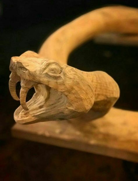 Snake Wood Carving, Wood Snake, Beginner Wood Burning, Wood Carving Art Sculpture, Snake Wood, Handmade Walking Sticks, Wood Spoon Carving, Hand Carved Walking Sticks, Simple Wood Carving