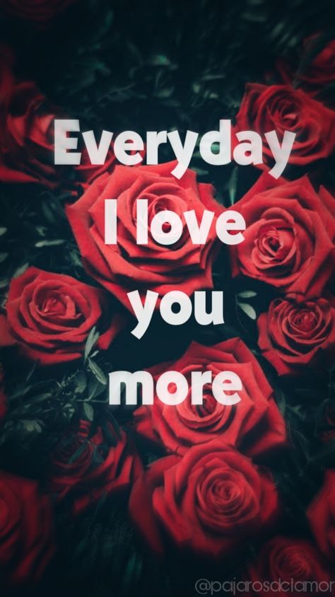 everyday i love you more❤️ #like #save #pin #follow #share #rosewallpaper #him #her #them #couple #love #relationshipgoals #relationshipquotes #pajarosdelamor Good Night I Love You, I Do Love You, Hello My Love, Hello Hello, March 5, Future Wife, Couple Quotes, Romantic Love Quotes, Love Pictures