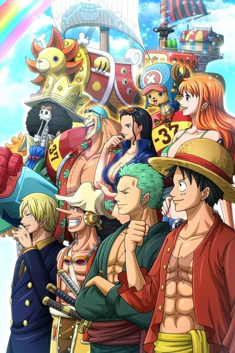 From the given link you can download all english dubbed episodes of one piece. One Piece Characters, Thousand Sunny, Straw Hat Pirates, One Piece World, One Piece Tattoos, One Piece Figure, One Piece Cartoon, One Piece Crew, One Piece Wallpaper Iphone