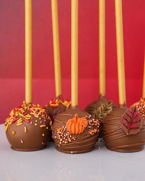 Bree Bakes on Instagram: “Fall 🍂🍁🤎 Triple chocolate cake pops with: —@fancysprinkles on the left —@layercakeshop in the center What are you up to this weekend??…” Cake Pops Thanksgiving, Thanksgiving Cake Pops, Fall Cake Pops, Thanksgiving Food Crafts, Creative Sweets, Pumpkin Cake Pops, Cook Ideas, Pumpkin Show, Thanksgiving Cake