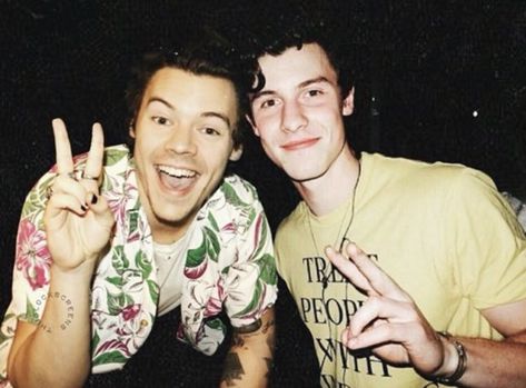 Hold Me Tight, Hold Me, Shawn Mendes, Harry Styles, Books, On Instagram