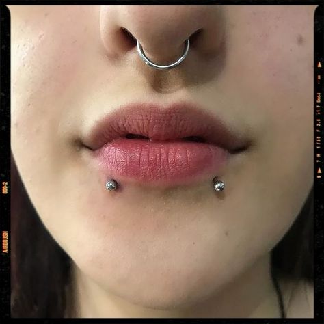 Snakebite Piercing Aesthetic, Snake Bite Piercing Jewelry, Snakebite Piercing, Snake Bites Piercing, Snake Bite Piercing, Lip Piercing Jewelry, Lip Piercings, Snake Bite, Septum Piercings