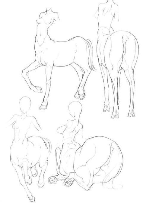 Medical Prints, Disney Sketches, Creature Drawings, Mythical Creatures Art, Creature Concept Art, Anatomy Art, Art Poses, Drawing Base, Drawing Reference Poses