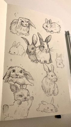 Bunny Drawing, Arte Sketchbook, Cute Doodle Art, Animal Sketches, Sketch Ideas, Sketchbook Ideas, Book Art Drawings, Doodle Drawings, Cat Drawing