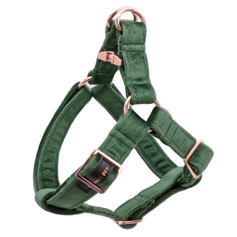 PRICES MAY VARY. SIZE:Large Strap width 1.2", neck & chest girth adjustable from 24"-38" SAFE & NO CHOKE: The harness's design is unique and safe, It safely controls light to moderate pulling by resting across your dog's chest instead of his throat.  SUPER DURABLE: The harness is equipped with rose gold snap-on and O-ring buckle, gorgeous and shiny yet heavy duty. The harness can be adjusted by roll buckle, and metal buckle is more durable that ordinary plastic buckle. Meanwhile, the strong cott Dog Halter, Short Dog Leash, Velvet Dog Collar, Short Dog, Walking Harness, Luxury Dog Collars, Small Dog Harness, Dog Collar With Name, Cute Dog Collars