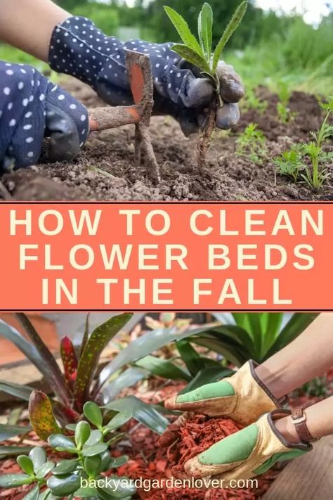 Learn how to clean flower beds in the fall, so that you ca enjoy a gorgeous spring show of fresh flowers. #garden #flowergarden #gardenchores #fallgarden #autumngarden Clean Flowers, Container Garden Design, Gardening Hacks, Meteor Garden 2018, Magic Garden, Chinese Garden, Olive Garden, Landscaping Design, Kew Gardens