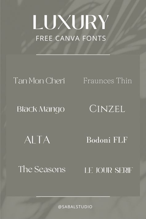 Free Canva fonts for luxury branding. These 7 aesthetic fonts in Canva will elevate your brand and take your marketing designs to the next level ✨ #scriptfont #calligraphy #typography #fontlover #texteffects #graphicdesign Best Canva Fonts Pairing, Canva Luxury Fonts, Luxury Canva Fonts, Luxury Font Pairing, Luxury Fonts Typography, Luxury Fonts Branding, Font Pairings Canva, Free Canva Font Pairings, Canva Free Fonts