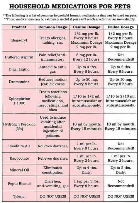 Dog Chart Pet Care, Dog Meds, Meds For Dogs, Pet Meds, Dog Medicine, Dog Remedies, Dog Health Tips, Upset Stomach, Dog Info