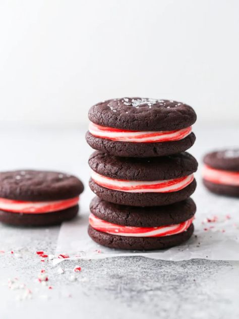 Chocolate Candy Cane Sandwich Cookies - Completely Delicious Cherry Chip Cake, Cookie Tips, Chewy Chocolate Cookies, Christmas Cookie Recipes, Candy Cane Cookies, Peppermint Cookies, Perfect Cookie, Chocolate Peppermint, Chewy Cookie