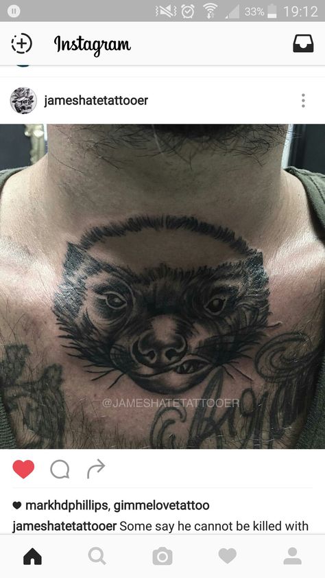 #honeybadger #tattoo Honeybadger Tattoos, Honey Badger Tattoo, Badger Tattoo, Sketches Tattoo, Reference Pics, Honey Badger, Tattoo Sketches, Badger, Tattoos For Guys