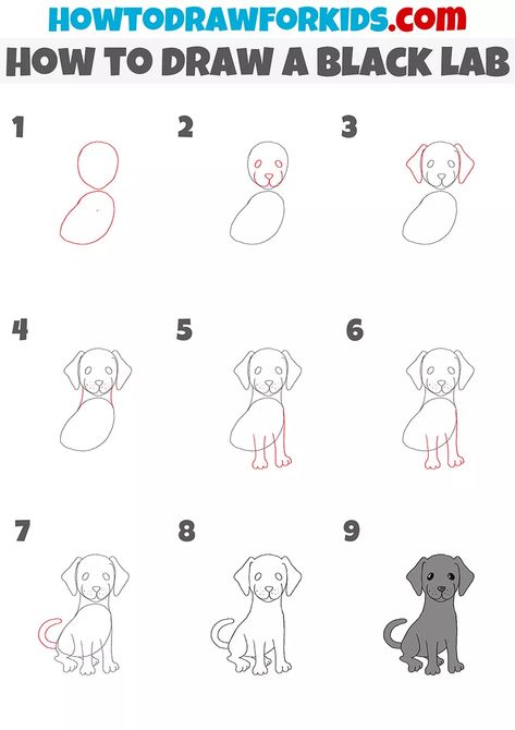 Step By Step Drawing Of A Dog, Black Lab Drawing Easy, How To Draw A Labrador Step By Step, Drawing Items, Comic Poses, Art Steps, Dog Drawing Tutorial, Dog Drawing Simple, Sketchbook Diary