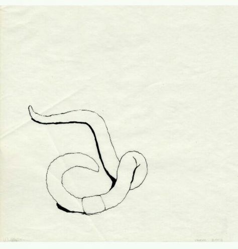 Super weird but would kind of love to get a worm tattoo to remind me of the simplicity of life Slimey Worm Tattoo, Even A Worm Will Turn Tattoo, Worm Tattoo Ideas, Earth Worm Tattoo, Tiny Worm Tattoo, Worm Tattoo, Earth Worm Drawing, Inch Worm Drawing, Worm Drawing