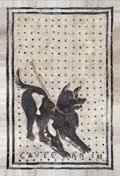 Mosaic Tattoo, Cave Canem, Beware Of The Dog, Dog Cave, Mosaic Animals, Rome Antique, Beware Of Dog, Jewish Art, Mosaic Designs