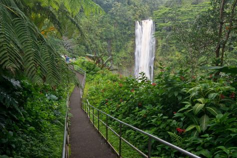 7 Best Big Island Hawaii Waterfalls | Things to Do | Hawaii Travel with Kids Akaka Falls, Hawaii Waterfalls, Poipu Beach, Natural Waterfalls, Lanikai Beach, Famous Waterfalls, Hawaii Volcanoes National Park, Volcano National Park, Big Island Hawaii