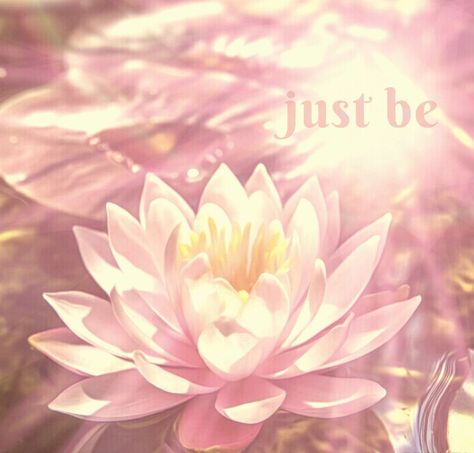 Pink Mindfulness Aesthetic, Spiritual Pink Aesthetic, Rose Pastel, Positive Self Affirmations, Ethereal Art, Water Lilies, Divine Feminine, Buddhism, Girly Things