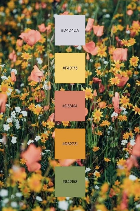 Late Spring Color Palette, Peach And Mustard Color Palettes, Flora Color Palette, Color Schemes For Party, Garden Colors Palette, Colour Palette With Yellow, Wildflower Pallet, Soft Yellow Color Palette, Wildflower Colour Palette