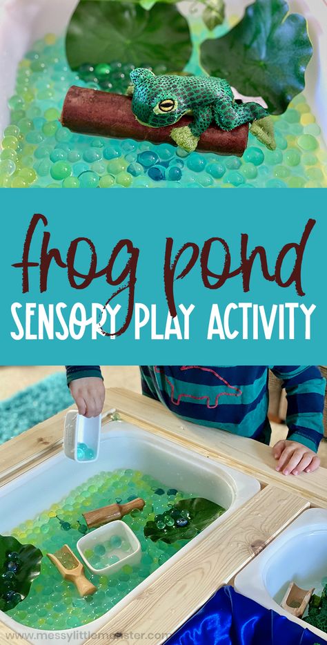 Frog Pond Sensory Bin, Sensory Play Themes, Springtime Sensory Bin, Pond Sensory Play, Pond Sensory, Garden Sensory Bin Preschool, Garden Sensory Play, Spring Messy Play Ideas, Spring Time Sensory Bin