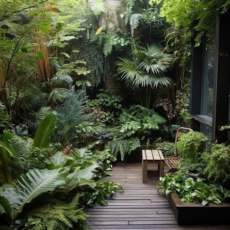 Jungle Courtyard, Garden Design Pictures, Small Tropical Gardens, Tropical Landscape Design, Tropical Garden Design, Jungle Gardens, Courtyard Gardens Design, Tropical Gardens, Tropical Landscaping