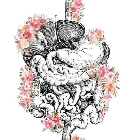 Digestive tract Anatomy Tattoo, Systems Art, Medical Wallpaper, Work Badge, Digestive Tract, Pallet Painting, Medical Art, Gift Flower, Registered Nurse