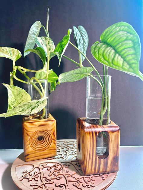 Propagation station, stand, holder,plant lover, Glass test tubes, indoor, office decor, gardening, hydroponics, home decor, Handmade, gifts, by livingrootsbyj on Etsy Test Tube Propagation, Wooden Test Tube Holder, Plant Test Tube, Test Tube Plant Holder, Resin Propagation Station, Test Tube Propagation Station, Hydro Plant, Test Tube Holder, Wood Plant Stand