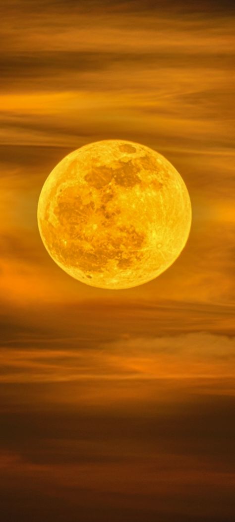 Yellow Moon Wallpaper, Eclipse Wallpaper, Night Scenes, Tattoo Meanings, Golden Moon, Orange Moon, Yellow Moon, Luna Moon, Moon Painting