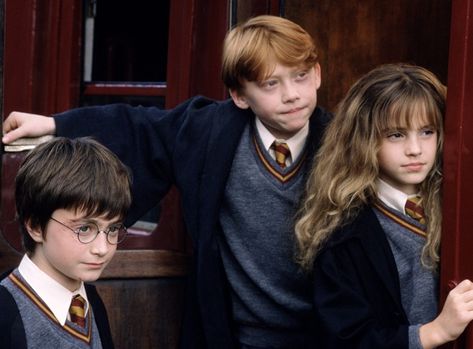 Daniel Radcliffe Will Read 'Harry Potter' To Your Kids At Home. Here's How. Hermione Granger Kids, Harry Potter Trio, Ron E Hermione, Ron Y Hermione, Harry Hermione Ron, Film Harry Potter, Robbie Coltrane, Harry Potte, Freddie Highmore